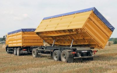 Услуги зерновозов для перевозки зерна - Оренбург, цены, предложения специалистов
